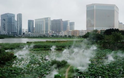 新法要求赌牌博企持牌期间保持50亿资产 毛利拨款增至5%惹关注