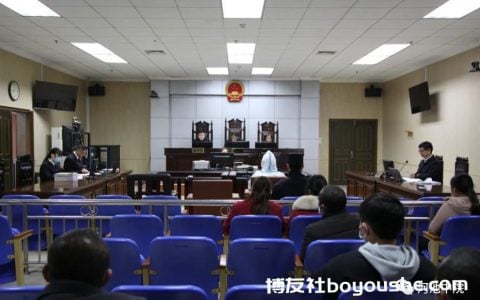 网络赌博上了瘾，广西一90后女会计挪用221万元公款被判刑