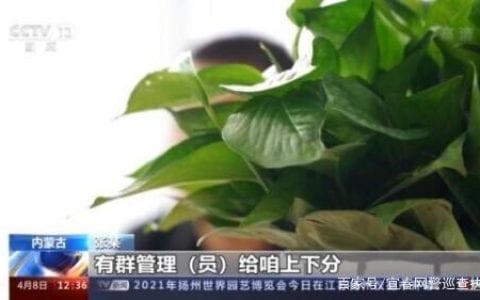 微信群暗藏赌博陷阱 男子"抢红包"输掉上百万元