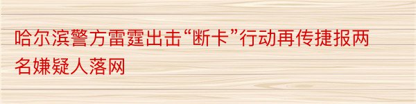 哈尔滨警方雷霆出击“断卡”行动再传捷报两名嫌疑人落网