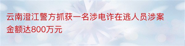 云南澄江警方抓获一名涉电诈在逃人员涉案金额达800万元