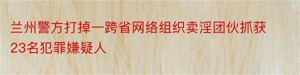 兰州警方打掉一跨省网络组织卖淫团伙抓获23名犯罪嫌疑人