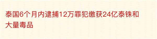 泰国6个月内逮捕12万罪犯缴获24亿泰铢和大量毒品