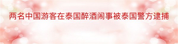 两名中国游客在泰国醉酒闹事被泰国警方逮捕