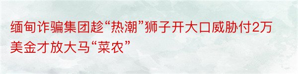 缅甸诈骗集团趁“热潮”狮子开大口威胁付2万美金才放大马“菜农”