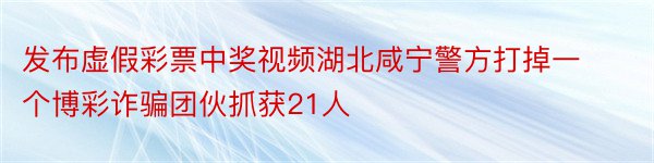 发布虚假彩票中奖视频湖北咸宁警方打掉一个博彩诈骗团伙抓获21人