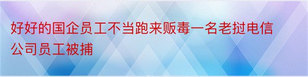 好好的国企员工不当跑来贩毒一名老挝电信公司员工被捕