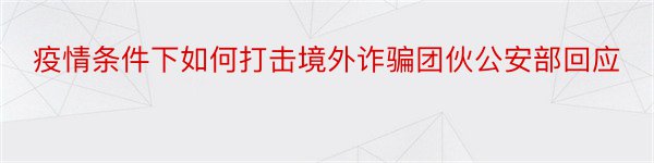 疫情条件下如何打击境外诈骗团伙公安部回应