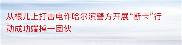 从根儿上打击电诈哈尔滨警方开展“断卡”行动成功端掉一团伙