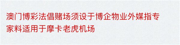 澳门博彩法倡赌场须设于博企物业外媒指专家料适用于摩卡老虎机场