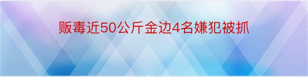 贩毒近50公斤金边4名嫌犯被抓