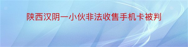 陕西汉阴一小伙非法收售手机卡被判