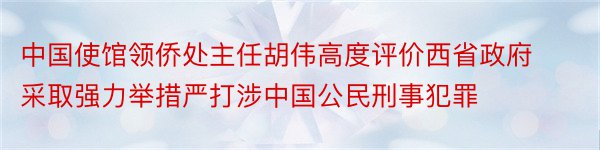 中国使馆领侨处主任胡伟高度评价西省政府采取强力举措严打涉中国公民刑事犯罪