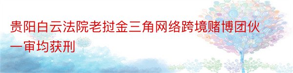 贵阳白云法院老挝金三角网络跨境赌博团伙一审均获刑