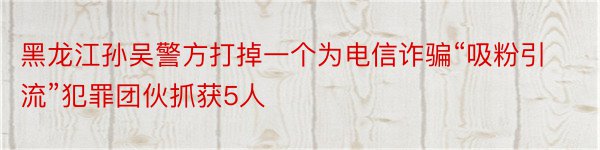 黑龙江孙吴警方打掉一个为电信诈骗“吸粉引流”犯罪团伙抓获5人