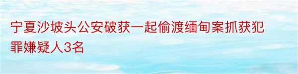 宁夏沙坡头公安破获一起偷渡缅甸案抓获犯罪嫌疑人3名