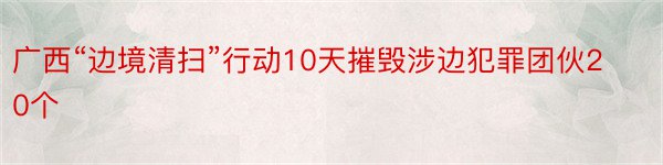 广西“边境清扫”行动10天摧毁涉边犯罪团伙20个