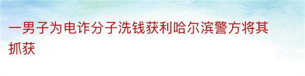 一男子为电诈分子洗钱获利哈尔滨警方将其抓获