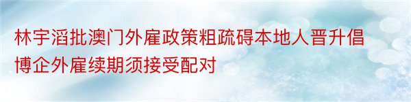 林宇滔批澳门外雇政策粗疏碍本地人晋升倡博企外雇续期须接受配对