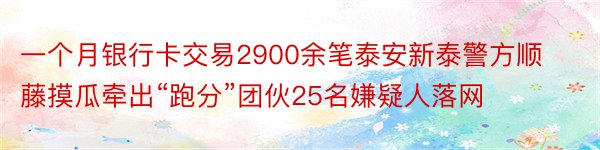 一个月银行卡交易2900余笔泰安新泰警方顺藤摸瓜牵出“跑分”团伙25名嫌疑人落网