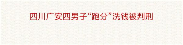 四川广安四男子“跑分”洗钱被判刑