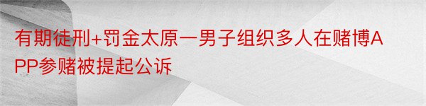 有期徒刑+罚金太原一男子组织多人在赌博APP参赌被提起公诉