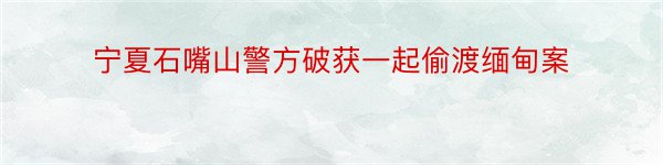 宁夏石嘴山警方破获一起偷渡缅甸案