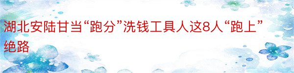 湖北安陆甘当“跑分”洗钱工具人这8人“跑上”绝路