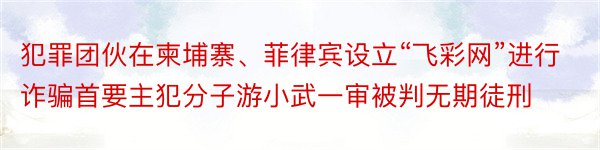 犯罪团伙在柬埔寨、菲律宾设立“飞彩网”进行诈骗首要主犯分子游小武一审被判无期徒刑