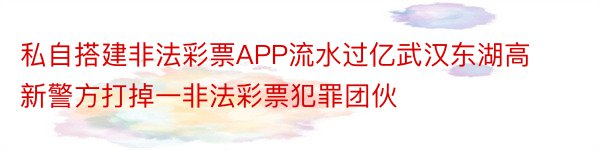 私自搭建非法彩票APP流水过亿武汉东湖高新警方打掉一非法彩票犯罪团伙