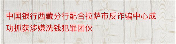 中国银行西藏分行配合拉萨市反诈骗中心成功抓获涉嫌洗钱犯罪团伙