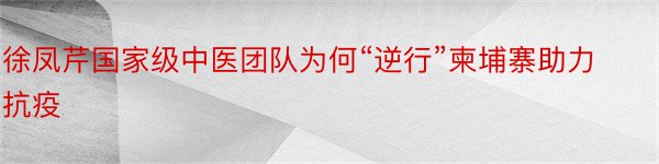 徐凤芹国家级中医团队为何“逆行”柬埔寨助力抗疫