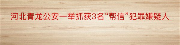 河北青龙公安一举抓获3名“帮信”犯罪嫌疑人