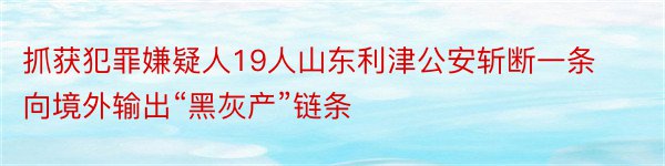 抓获犯罪嫌疑人19人山东利津公安斩断一条向境外输出“黑灰产”链条