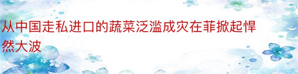 从中国走私进口的蔬菜泛滥成灾在菲掀起悍然大波