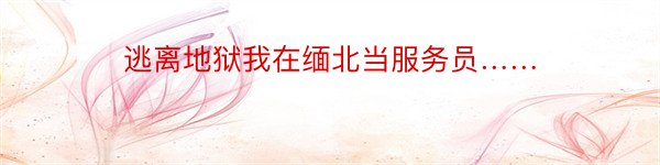 逃离地狱我在缅北当服务员……