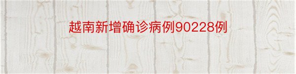 越南新增确诊病例90228例