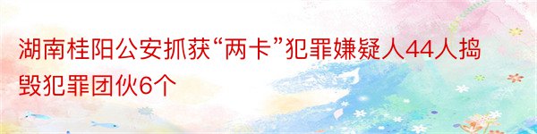 湖南桂阳公安抓获“两卡”犯罪嫌疑人44人捣毁犯罪团伙6个