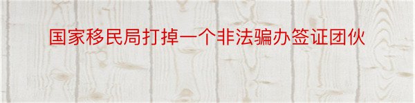 国家移民局打掉一个非法骗办签证团伙