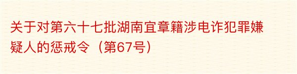 关于对第六十七批湖南宜章籍涉电诈犯罪嫌疑人的惩戒令（第67号）