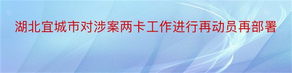 湖北宜城市对涉案两卡工作进行再动员再部署