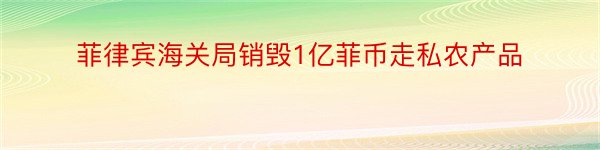 菲律宾海关局销毁1亿菲币走私农产品