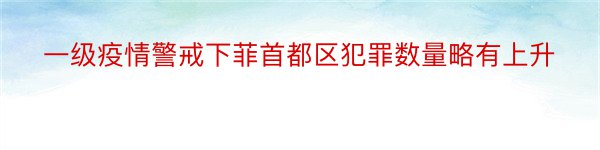 一级疫情警戒下菲首都区犯罪数量略有上升