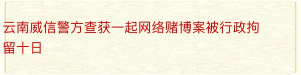 云南威信警方查获一起网络赌博案被行政拘留十日