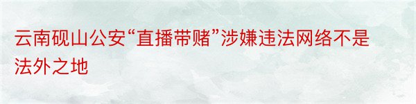 云南砚山公安“直播带赌”涉嫌违法网络不是法外之地