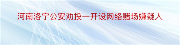 河南洛宁公安劝投一开设网络赌场嫌疑人