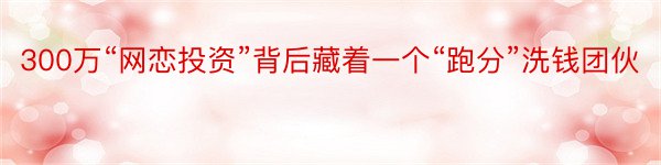 300万“网恋投资”背后藏着一个“跑分”洗钱团伙