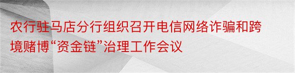 农行驻马店分行组织召开电信网络诈骗和跨境赌博“资金链”治理工作会议