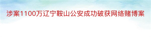 涉案1100万辽宁鞍山公安成功破获网络赌博案