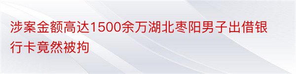 涉案金额高达1500余万湖北枣阳男子出借银行卡竟然被拘